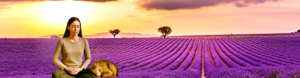 meditation peace