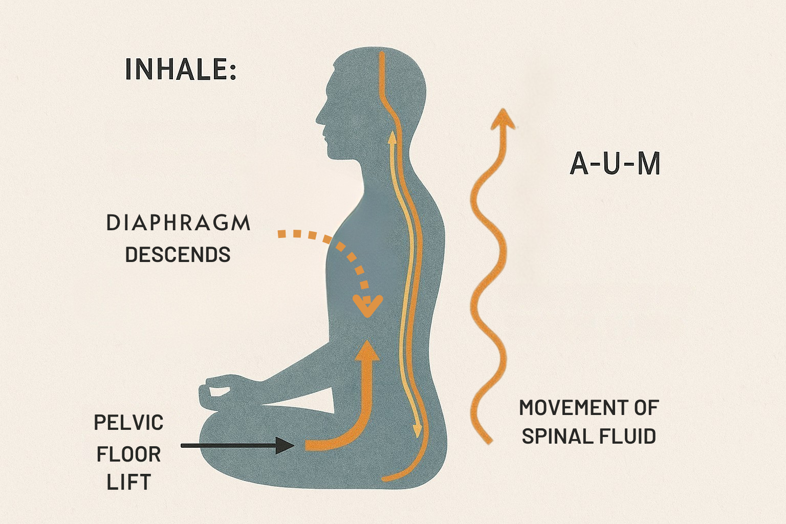 cerebrospinal fluid breathing