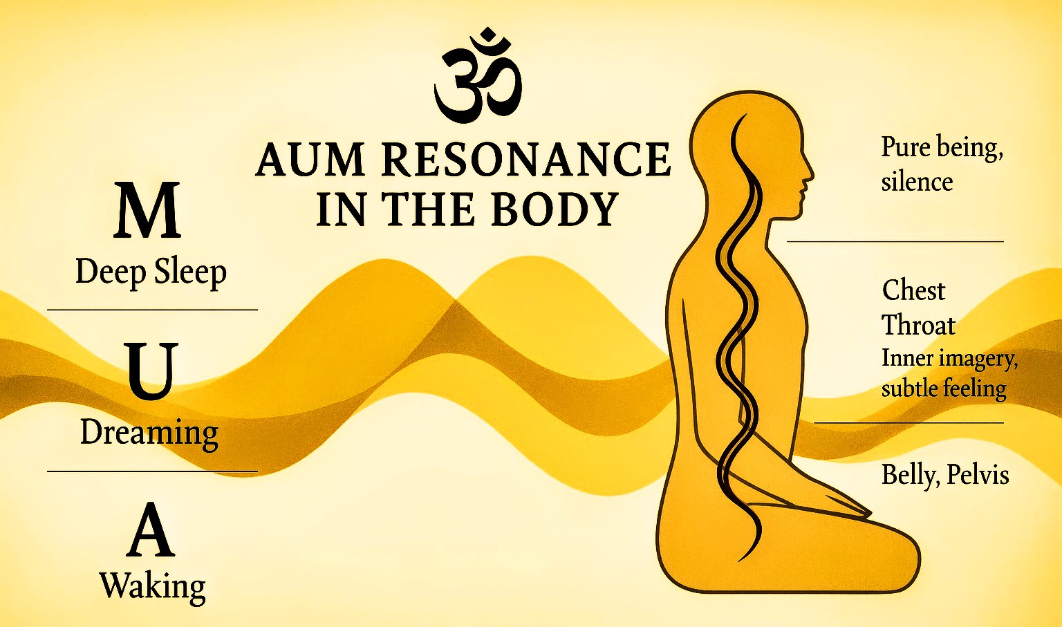 resonance in body